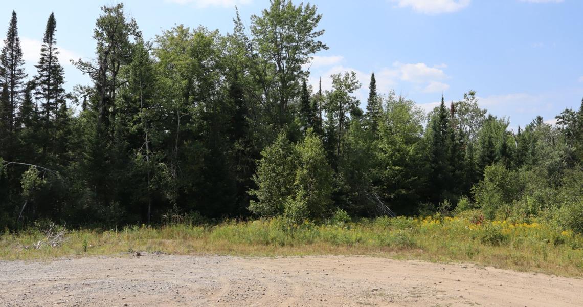 2 Acres, 1070 Piper Glen Road, Minden Hills