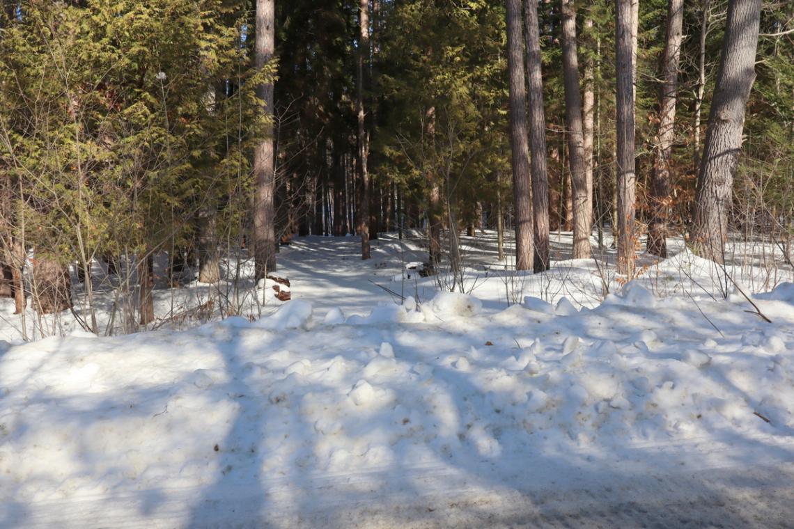 0.46 Acres, Maebar Road, Minden Hills