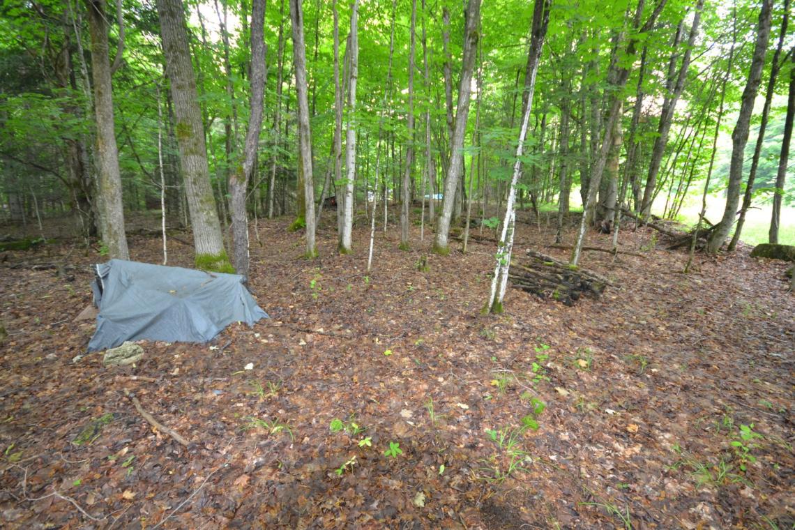 2 Acres, Youngs Trail. Haliburton