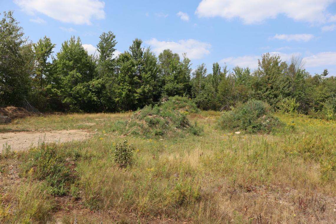  2.2 Acres, 1042 Piper Glen Road, Minden Hills