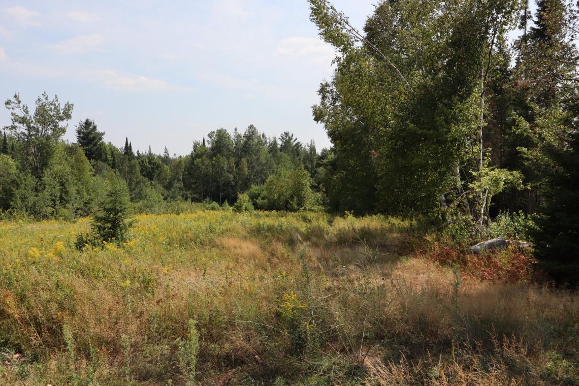 2.2 Acres, 1043 Piper Glen Road, Minden Hills