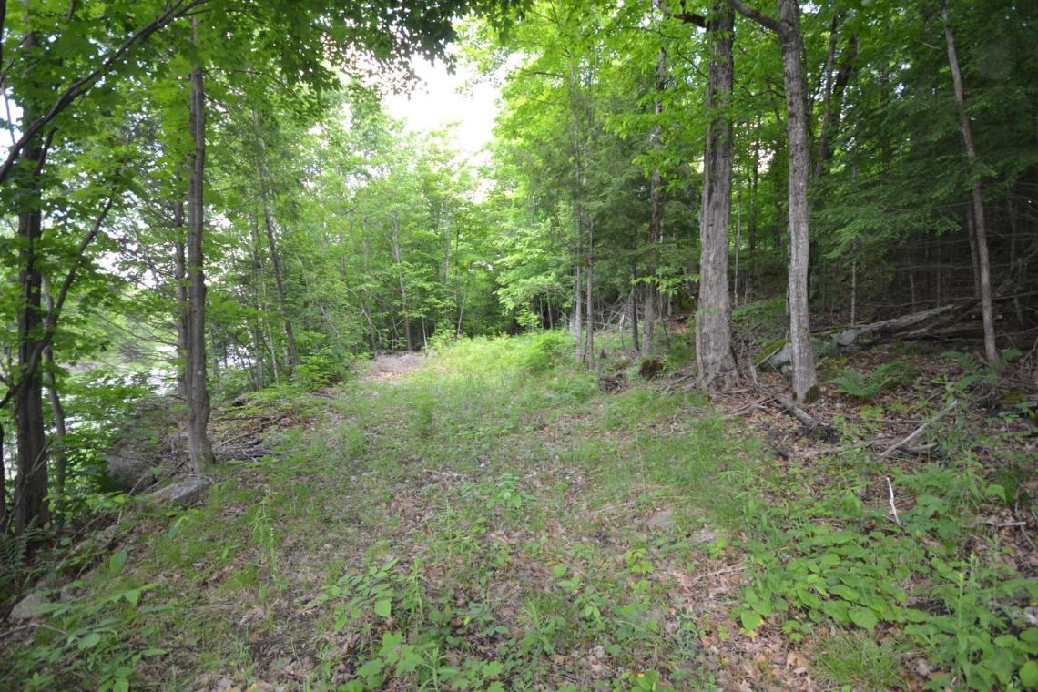 4.7 Acres, County Road 21, Haliburton