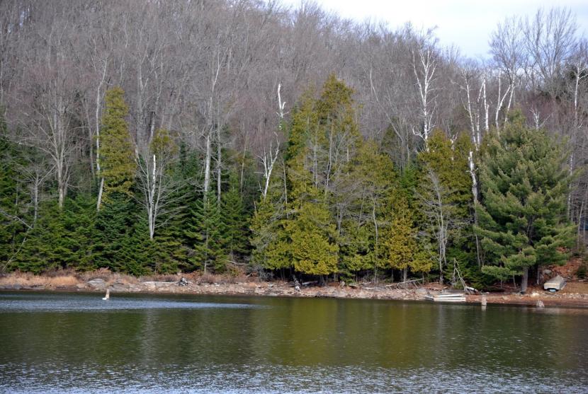 0.75 Acres, Clive Trail, Drag Lake, Haliburton thumbnail