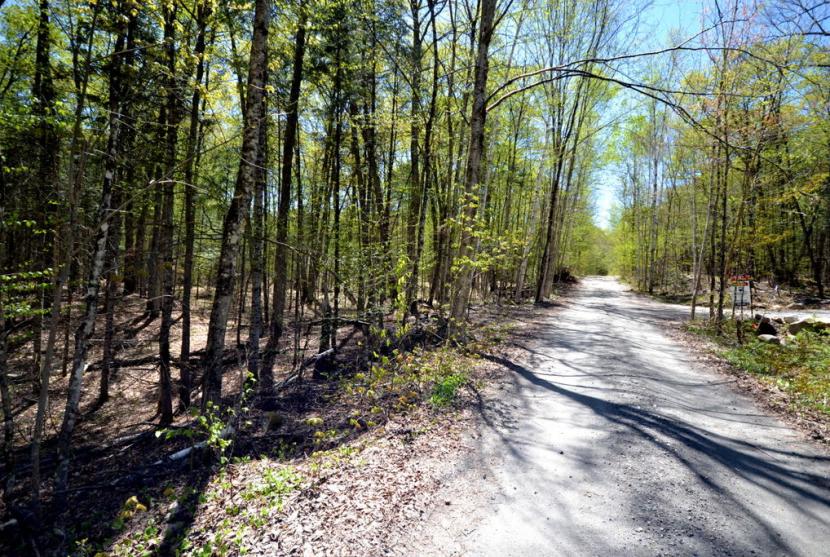 2 Acres, Basshaunt Lake Road, Eagle Lake thumbnail