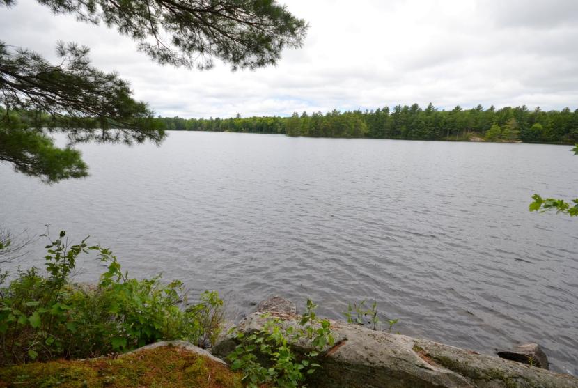 2 Acres, Branson Lane, Hindon Lake, Algonquin Highlands thumbnail