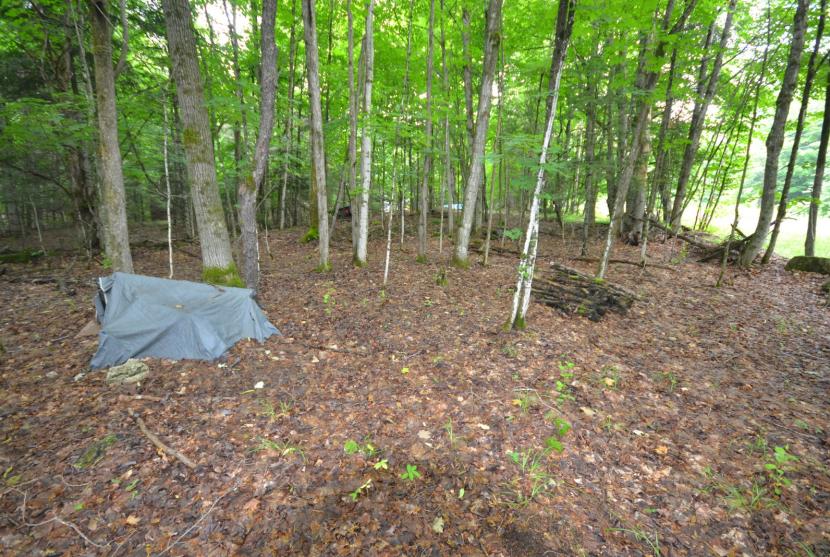 2 Acres, Youngs Trail. Haliburton thumbnail