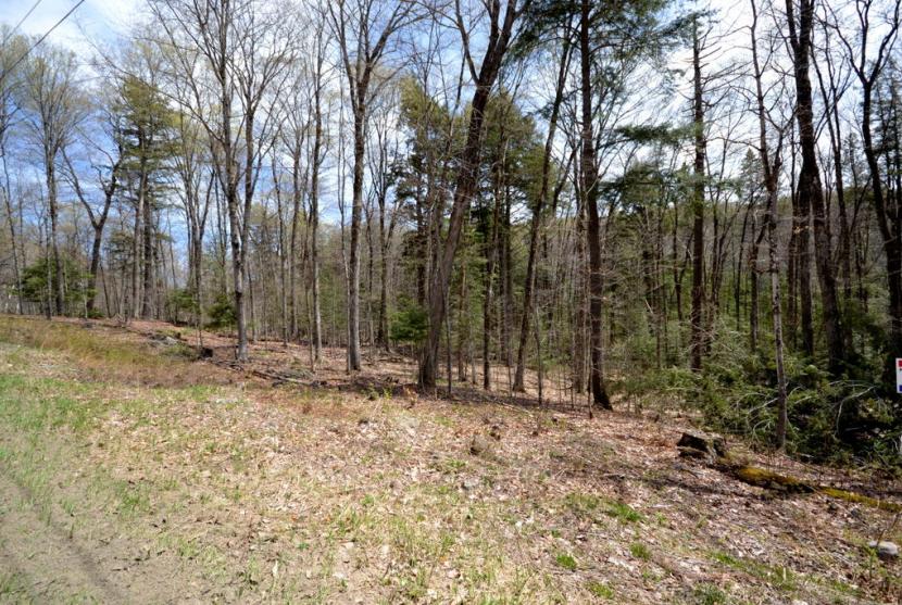 2.09 Acres, Liswood Road, Eagle Lake thumbnail