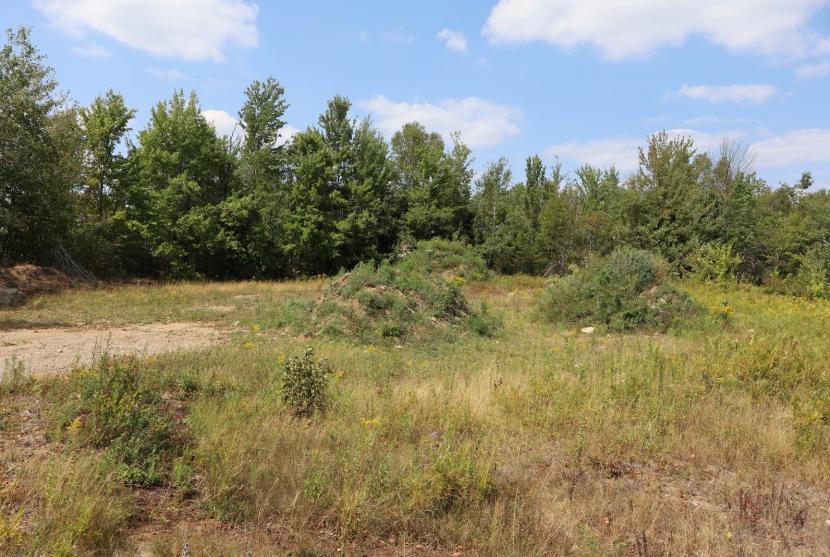  2.2 Acres, 1042 Piper Glen Road, Minden Hills thumbnail