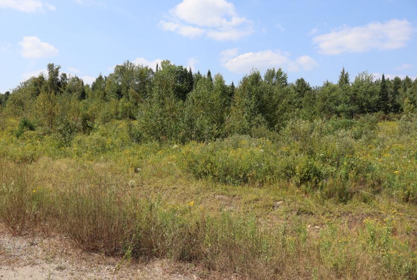 2.3 Acres, 1010 Piper Glen Road, Minden Hills thumbnail
