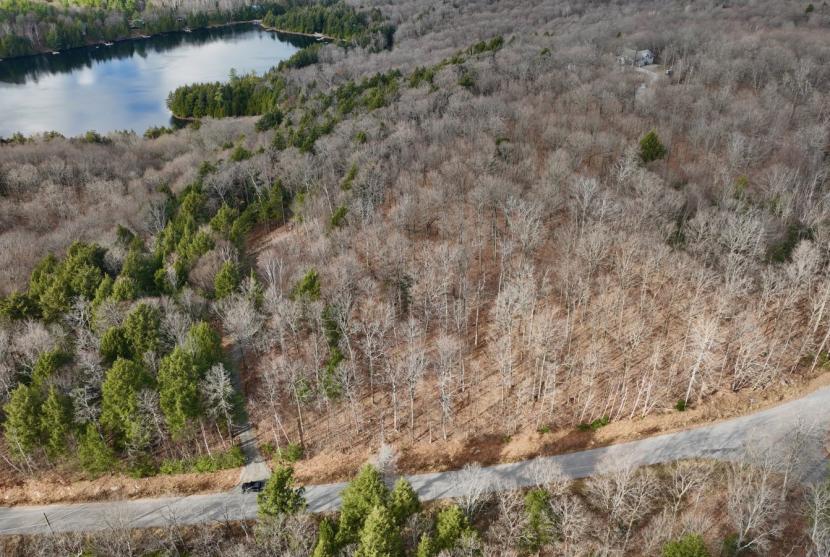 2.8 Acres, Liswood Road, Eagle Lake thumbnail