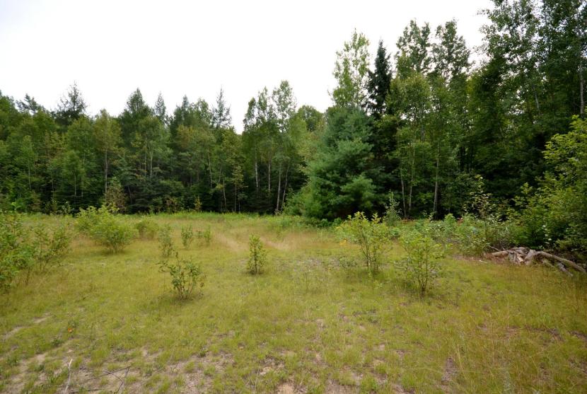 33 Acres, Haliburton Lake Road, Haliburton thumbnail