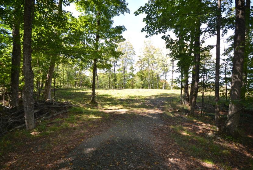 3.94 Acres, Ridgeview Road, Haliburton thumbnail