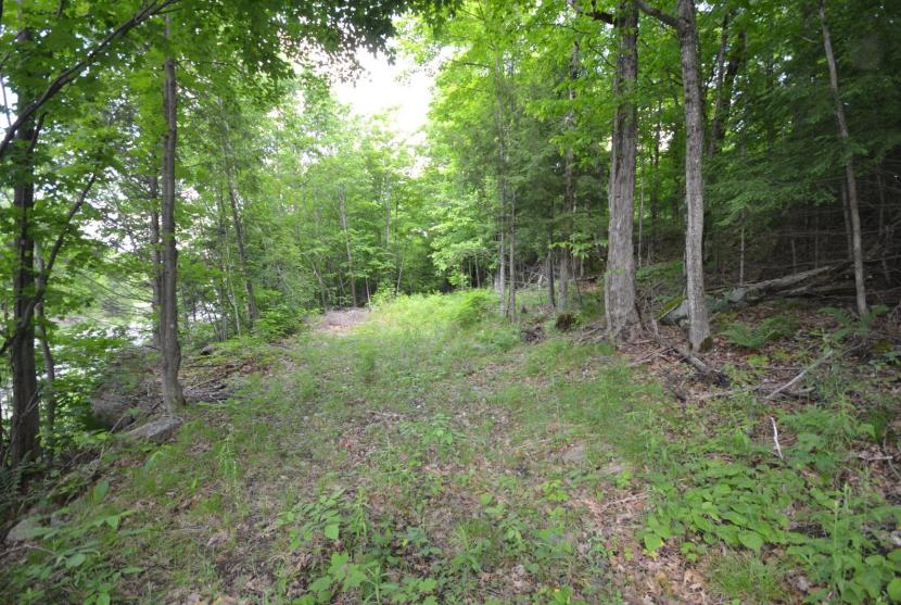 4.7 Acres, County Road 21, Haliburton thumbnail