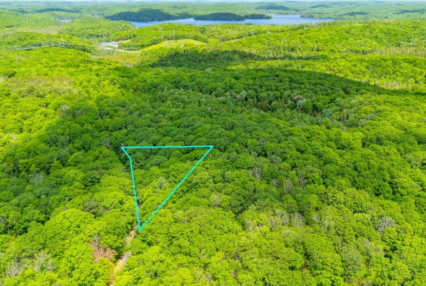 6.8 Acres, Wigamog Road, Minden Hills thumbnail