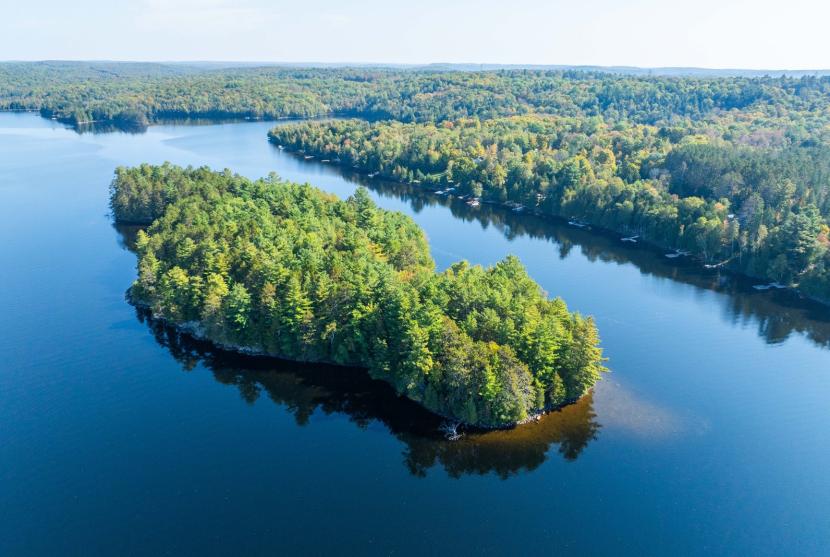 Brown Island, Soyers Lake, Minden thumbnail